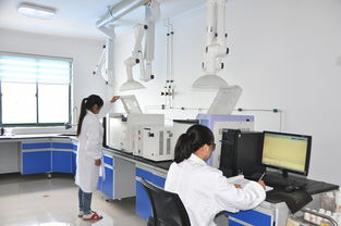 携环保与经济共达彼岸 安庆新媒体经济行走进安庆鑫祥瑞环保科技